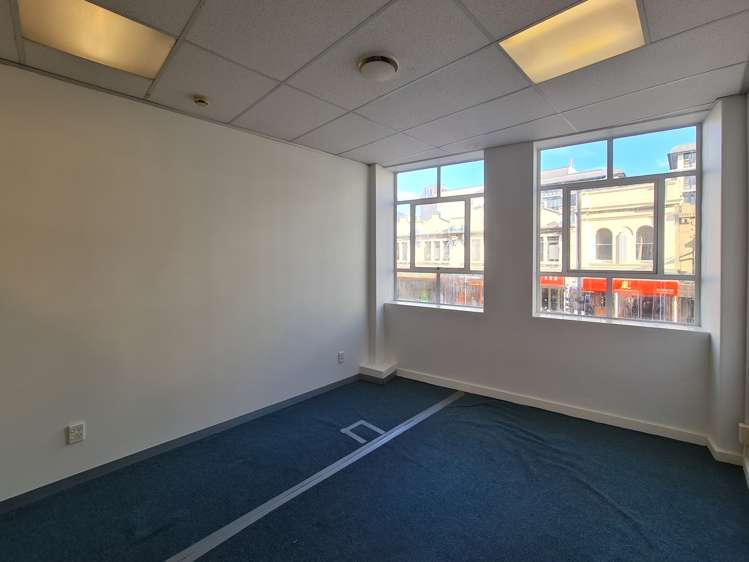 36 Allen St Te Aro_6