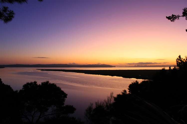 215 West Harbour Drive West Harbour_35