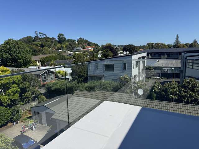 92D and 92E 90 Manukau Road Epsom_3