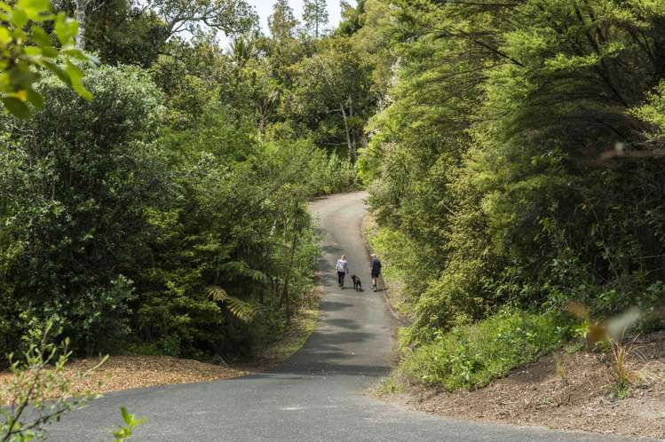 31 Karahiwi Lane Dairy Flat_15