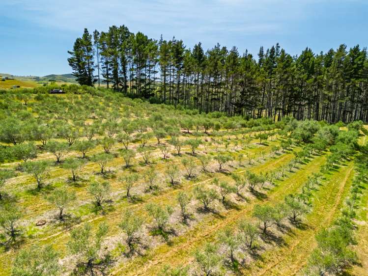 2884A State Highway 10 Mangonui_27