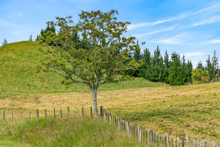 Lot Lot 1/1066 Dartmoor Road Puketapu_6