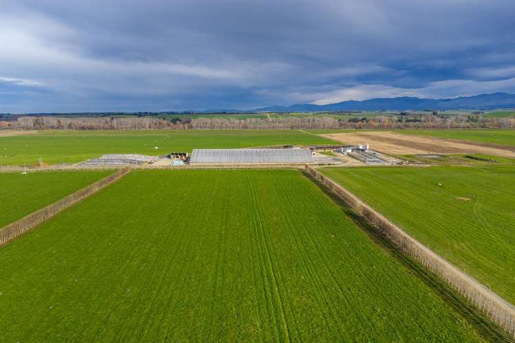 238 and 119 Pooke Road and Timaru Pareora Highway Pareora_3