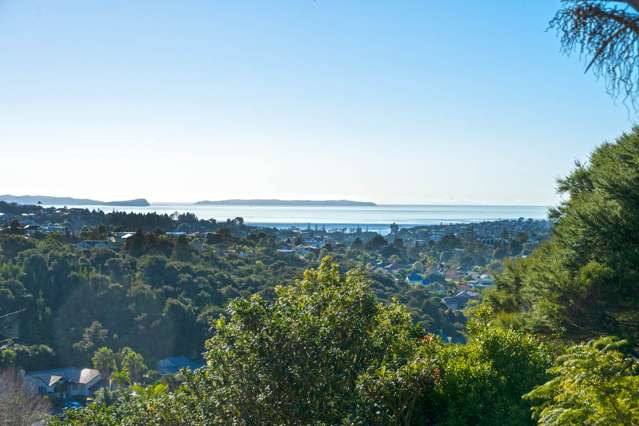 949 East Coast Road Torbay_3