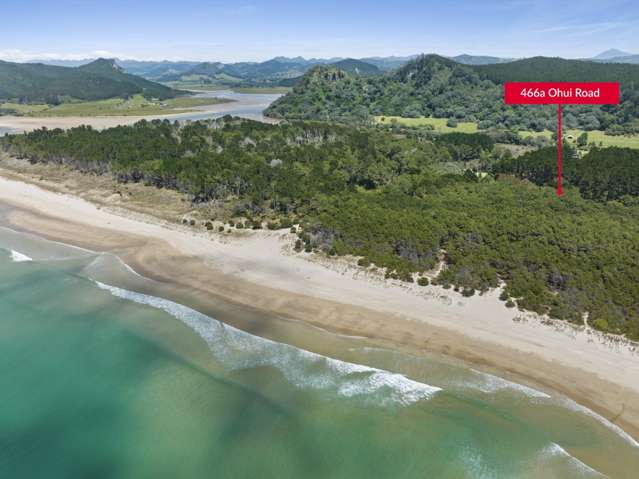 Rare Land & Beach Front Opportunity – Opoutere