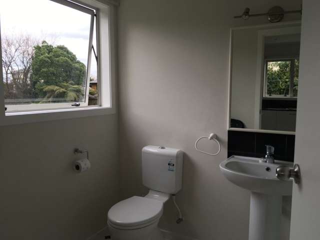 207 Maeroa Road Maeroa_3