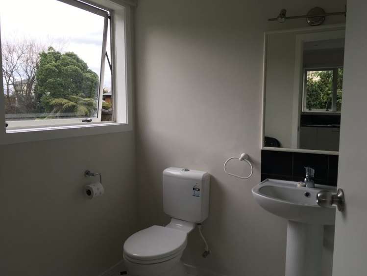 207 Maeroa Road Maeroa_3