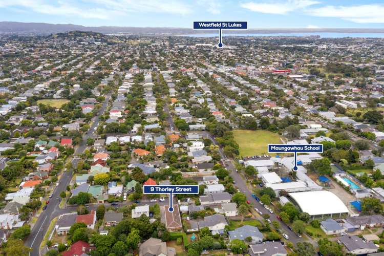 9 Thorley Street Mount Eden_10