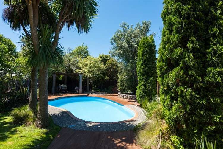 19a Carlyle Crescent Witherlea_12