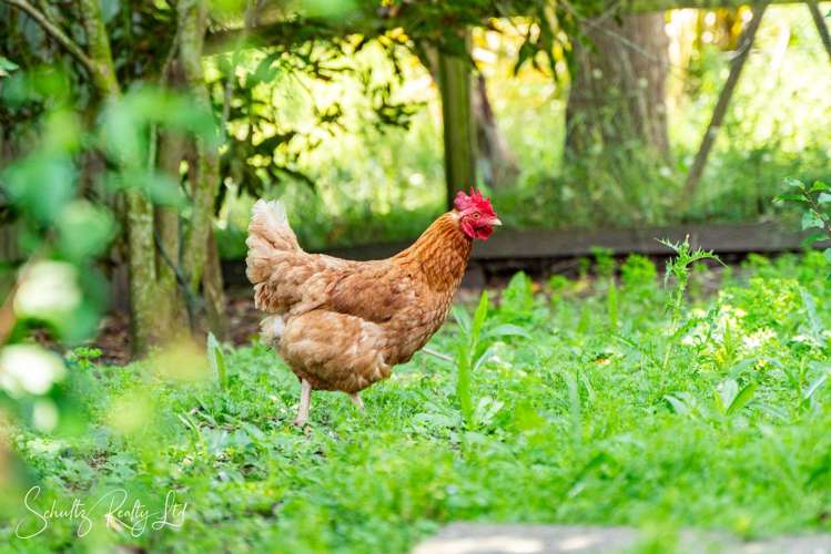 Lot 10/306 Oneriri Road Kaiwaka_32