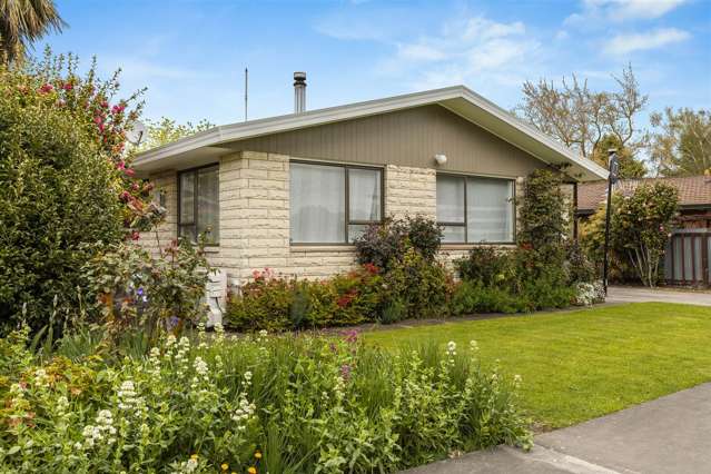 8 Owen Place Springlands_1