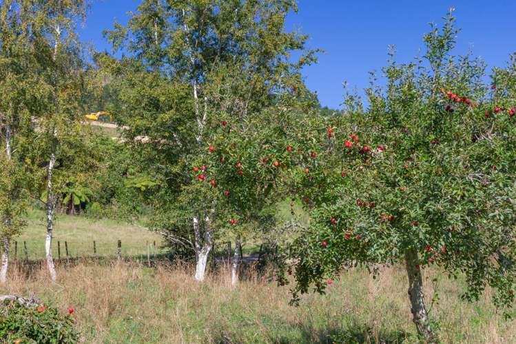 245B Wallace Road Koputaroa_12