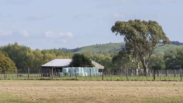 1007 State Highway 2 Masterton_11