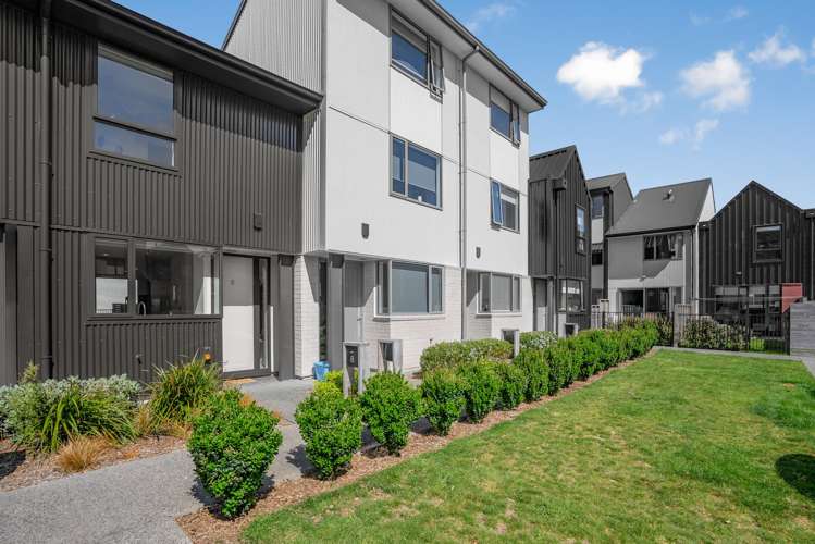 8 Te Ara O Te Amo Hohipene Petone_17