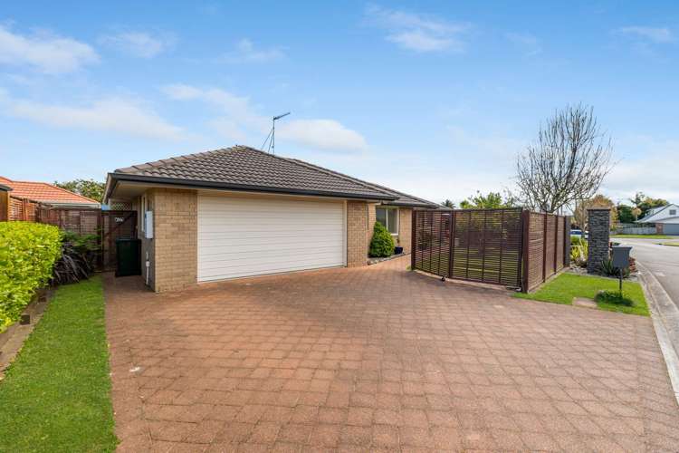2 Cresta Drive Katikati_14