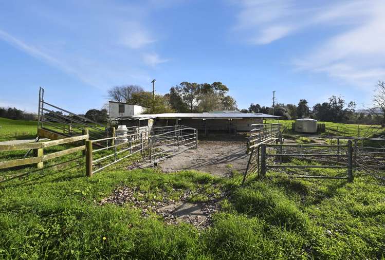 365 Halcrow Road Reporoa_15