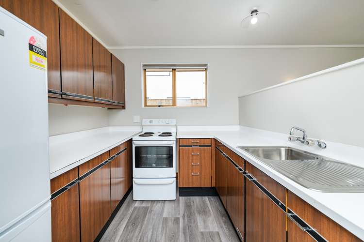 47a Haydon Street Roslyn_7