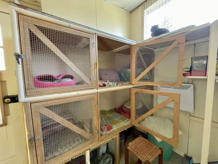 23 Goodwood Road Palmerston_15