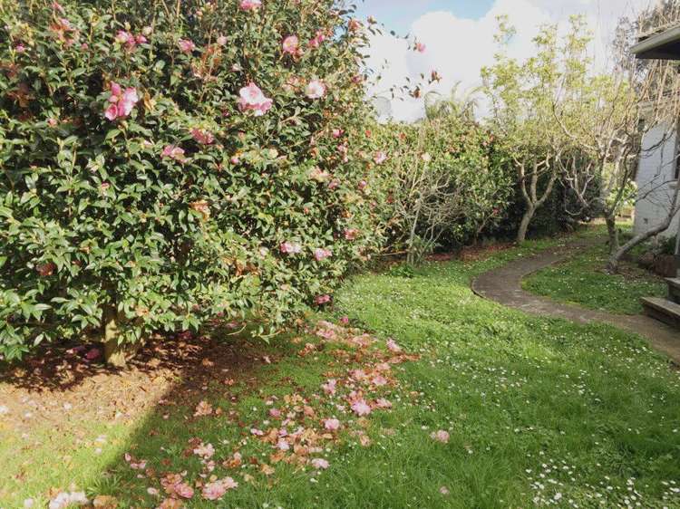 34 Kings Road Panmure_16