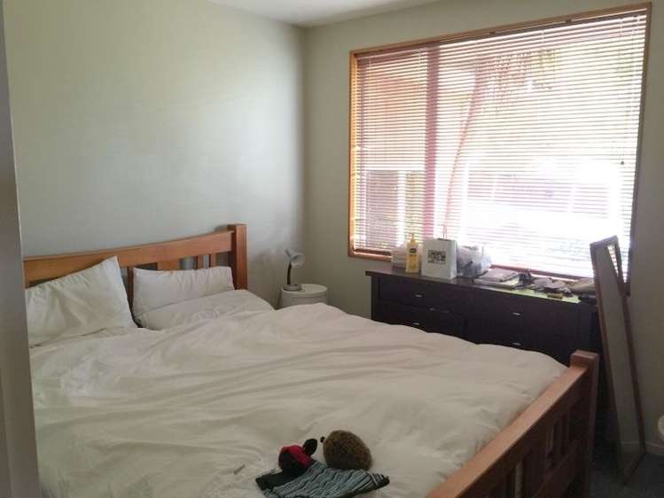 49 Chamberlain Street Tahunanui_9