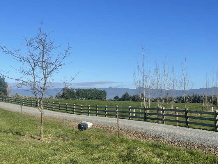 Phelps Way Morisons Bush_10