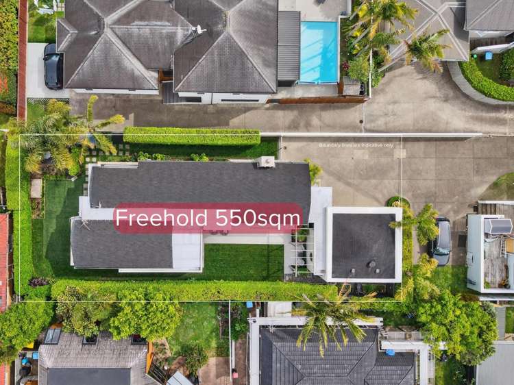 65A Dignan Street Point Chevalier_16