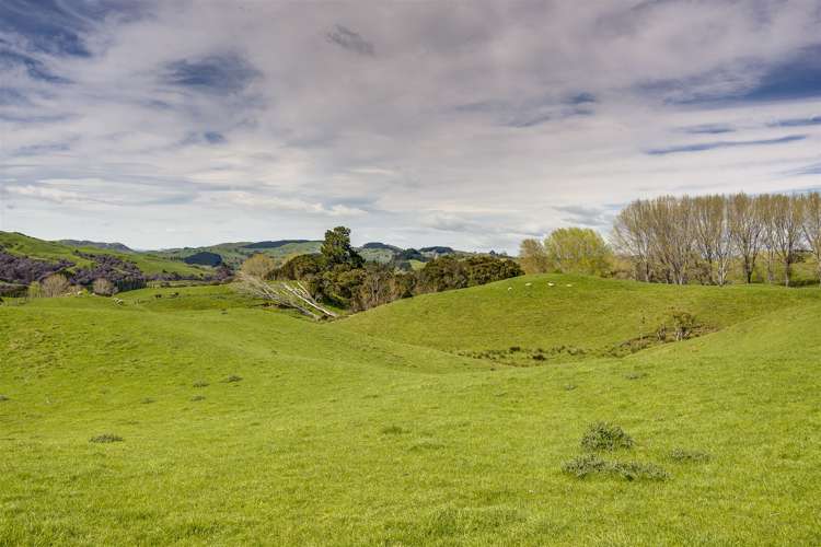 Glengarry Road Hastings Country_7