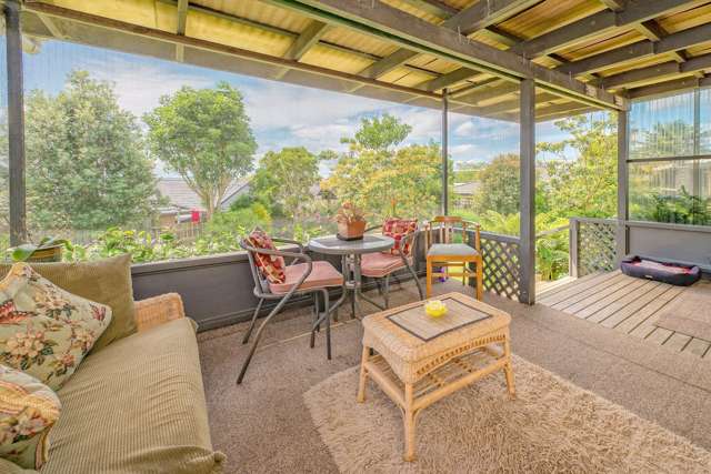 176 Queen Street Pukekohe_1