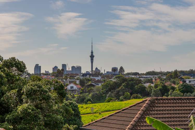 11 Lynch Street Point Chevalier_14