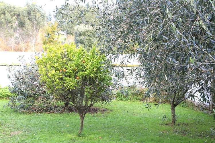 40 Potts Road Koputaroa_6