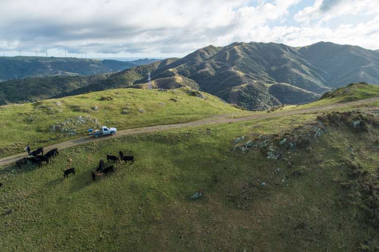 200 Parkvale Road Wilton_12