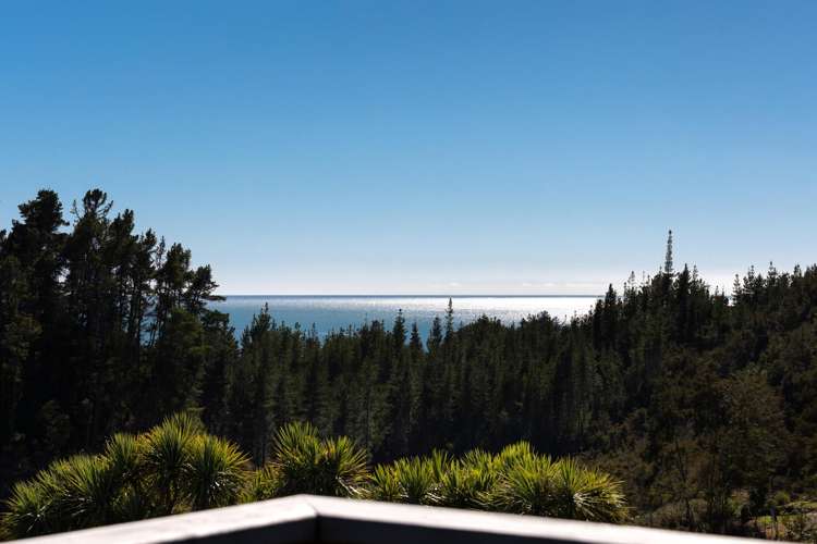 207 Kaiteriteri-Sandy Bay Road Kaiteriteri_10