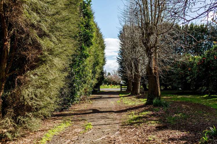 343 Western Drain Road Edgecumbe_8