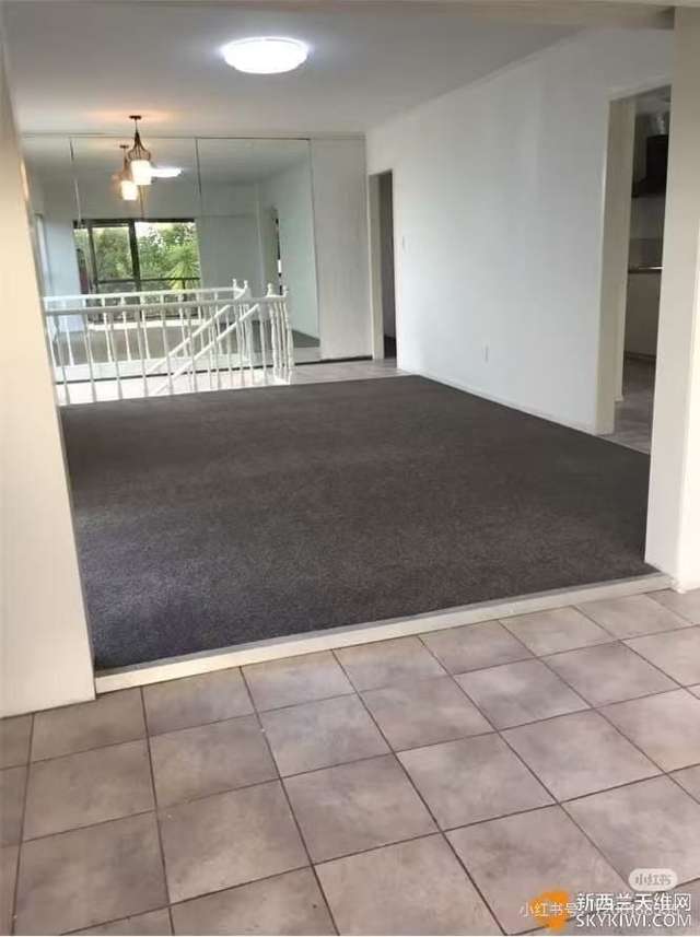 217 Sturges Road Henderson_2