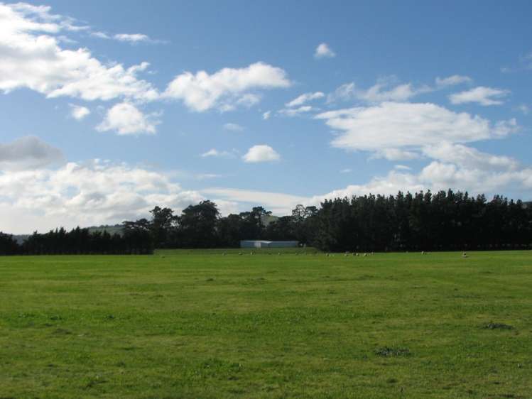 168c Hinakura Road Martinborough_9