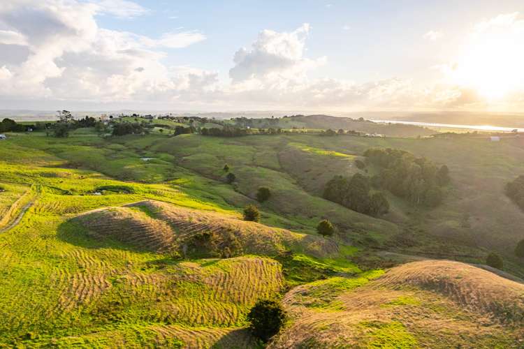 98 Rowland Road Dargaville Surrounds_16