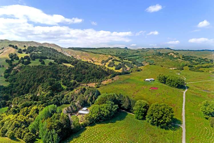 Lot 2,/229 Rangikohua Road Tolaga Bay_16