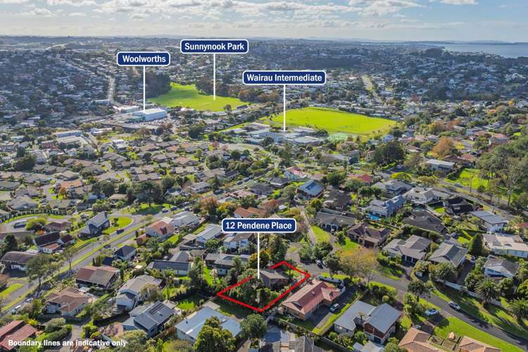 12 Pendene Place Forrest Hill_21