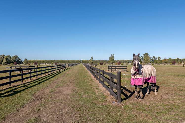 573 Burnham School Road Burnham_5