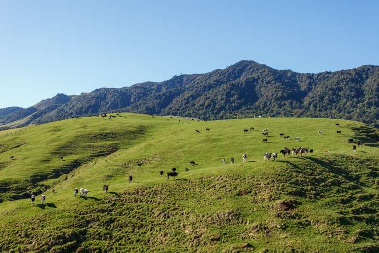 134 Old Te Aroha Road Te Poi_39