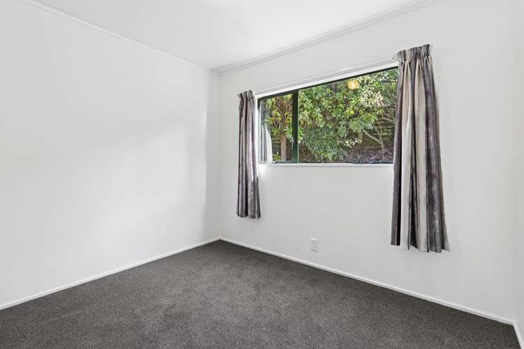 44 Toi Toi Street Toi Toi_6