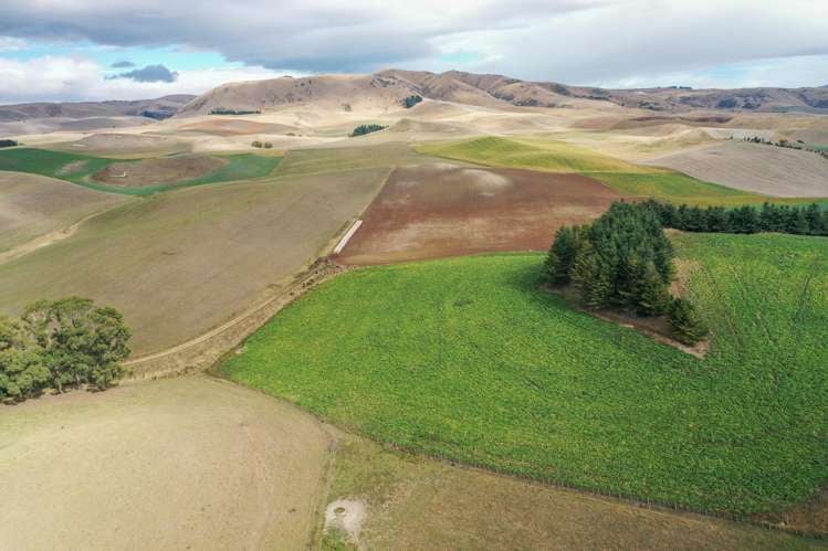 518 Elephant Hill Road Waimate_14