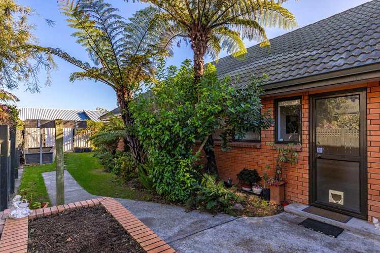 5 Logan Place Blenheim Central_34