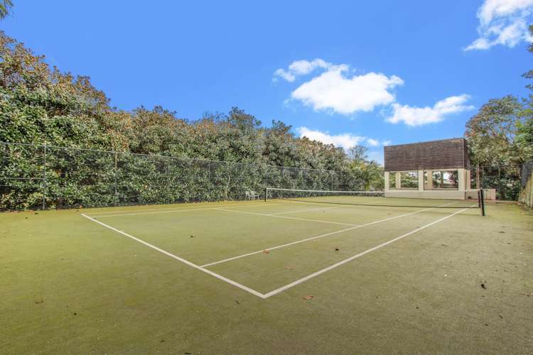 26/27 Birdwood Crescent Parnell_13