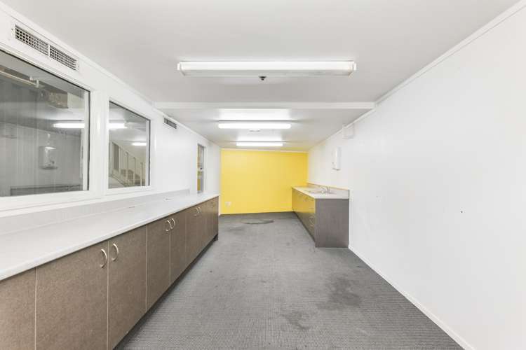 393 Apirana Avenue Point England_5