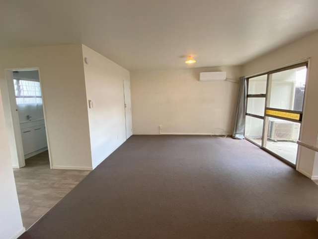 3/14 Opoia Road 1055_3