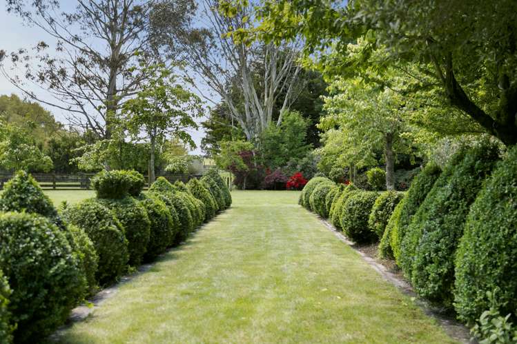 924 Poihipi Road Oruanui_19