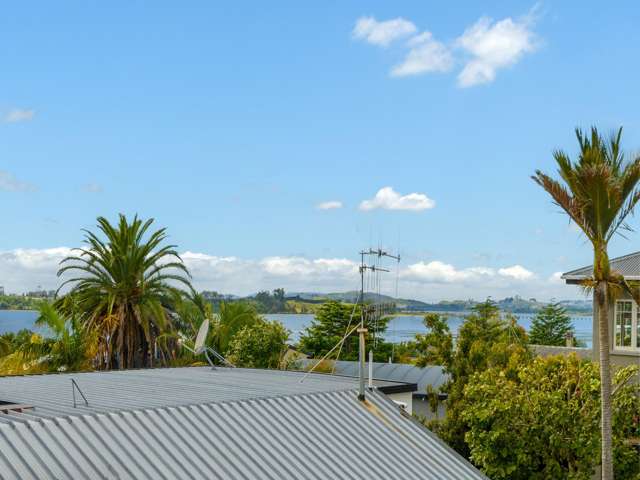50a Harvey Street Tauranga South_2