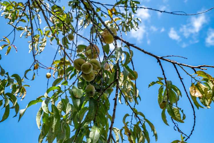 60C Church Road Kaitaia_30