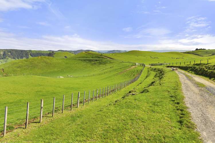 446 Tikitiki Road Te Kuiti_11